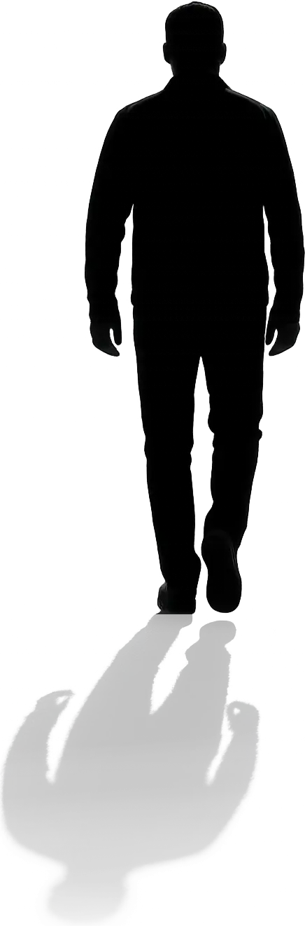 Book Jungle: Silhouette einer Person, die in die Ferne blickt