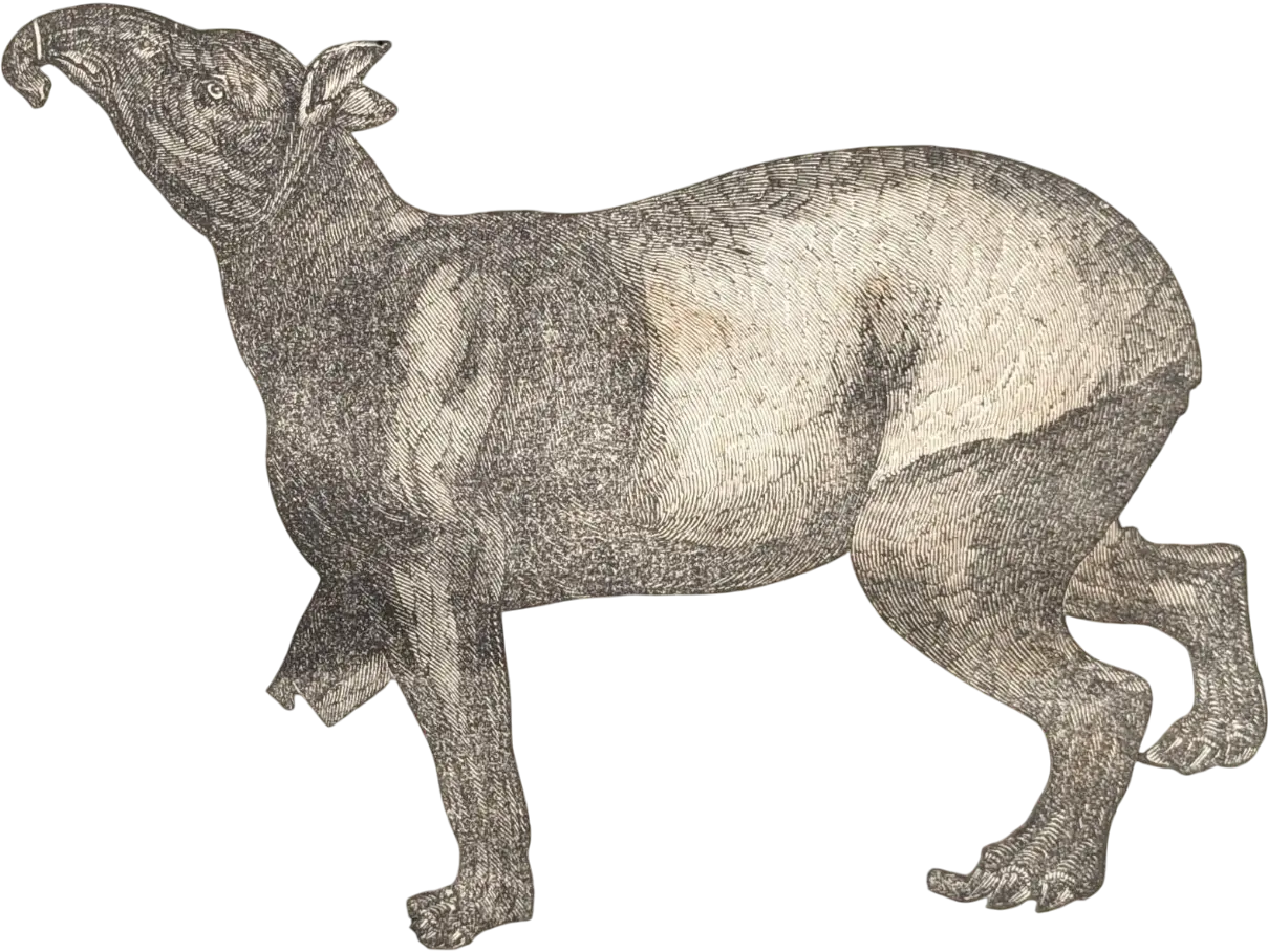 Book Jungle: Tapir Tier Dekoration